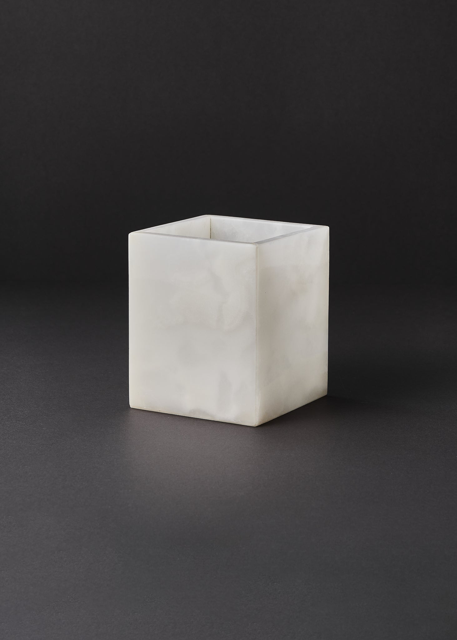 WHITE ONIKSO ŽVAKIDĖ/DĖŽUTĖ